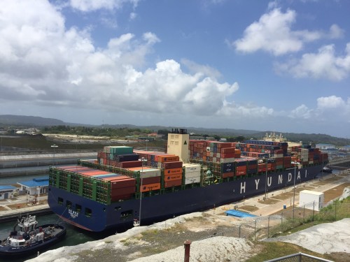 D445CDA9-E057-491C-A3C5-748D556ED638